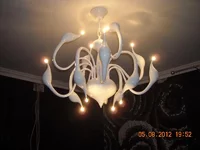 DSCN7559.JPG