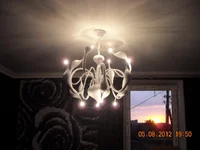  733 modified.webp