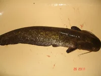 DSC05877.jpg