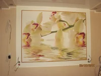 IMG_5436_новый размер.webp