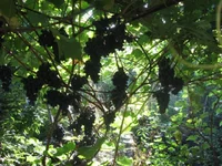  30 авг 001_640x480.webp