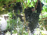  30 авг 002_640x480.webp