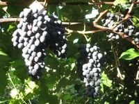  30 авг 004_640x480.webp