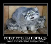 x_34ada6ab.webp
