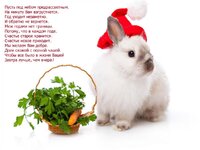Новогодний кролик_стихи.jpg