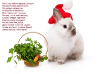  кролик_стихи.webp