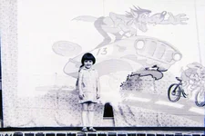 220.webp
