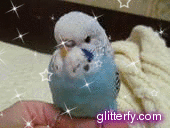 glitterfy2042958162B81.gif