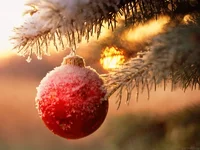 NY.webp