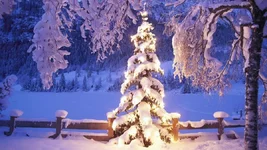 desktopwallpapers.org.ua-9534[1].webp