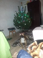 20130101_003557.webp