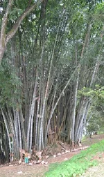 _3065.webp