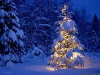 776912315.webp