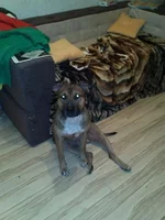 IMG133.webp