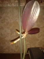 IMG_20130103_180945.jpg