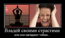 13 (13).webp