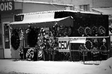 _MG_2324.webp