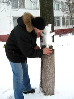 AVPROF Metal Art cat snow 6.JPG