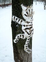 AVPROF Metal Art cat snow 2.JPG