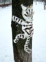 AVPROF Metal Art cat snow 2.webp