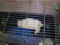 PICT0019.webp PICT0019.webp