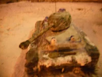 DSCN1402.jpg