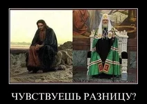 14 (30).webp
