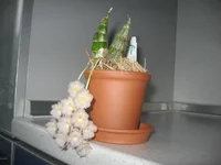 IMG_1452.webp
