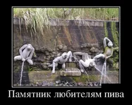 1357716140_1-38.webp