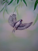 011.webp