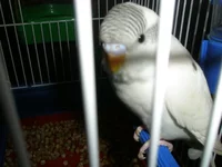 P1100324.webp