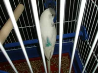 P1100325.webp