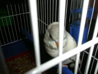 P1100323.webp