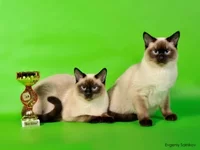 _DSC0037ps.webp