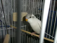 P1110330.webp