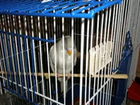 P1100328.webp