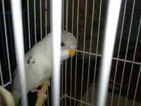 P1110332.webp