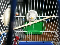 P1110333.webp