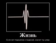 demotivatory_15.webp