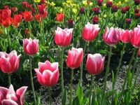 IMG_1048.webp