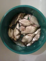 murom2_13.01.13.webp