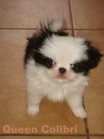 DSC08102-2.jpg