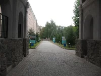 IMG_2294.webp