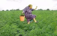 getImageконопельки.webp