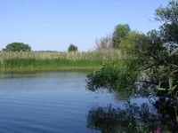 IMG_5126.webp