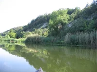 IMG_5128.webp