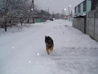 P1010005.webp