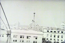 213.webp