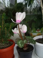 DSC03457.webp