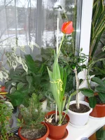 DSC03463.webp
